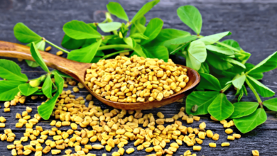 Fenugreek